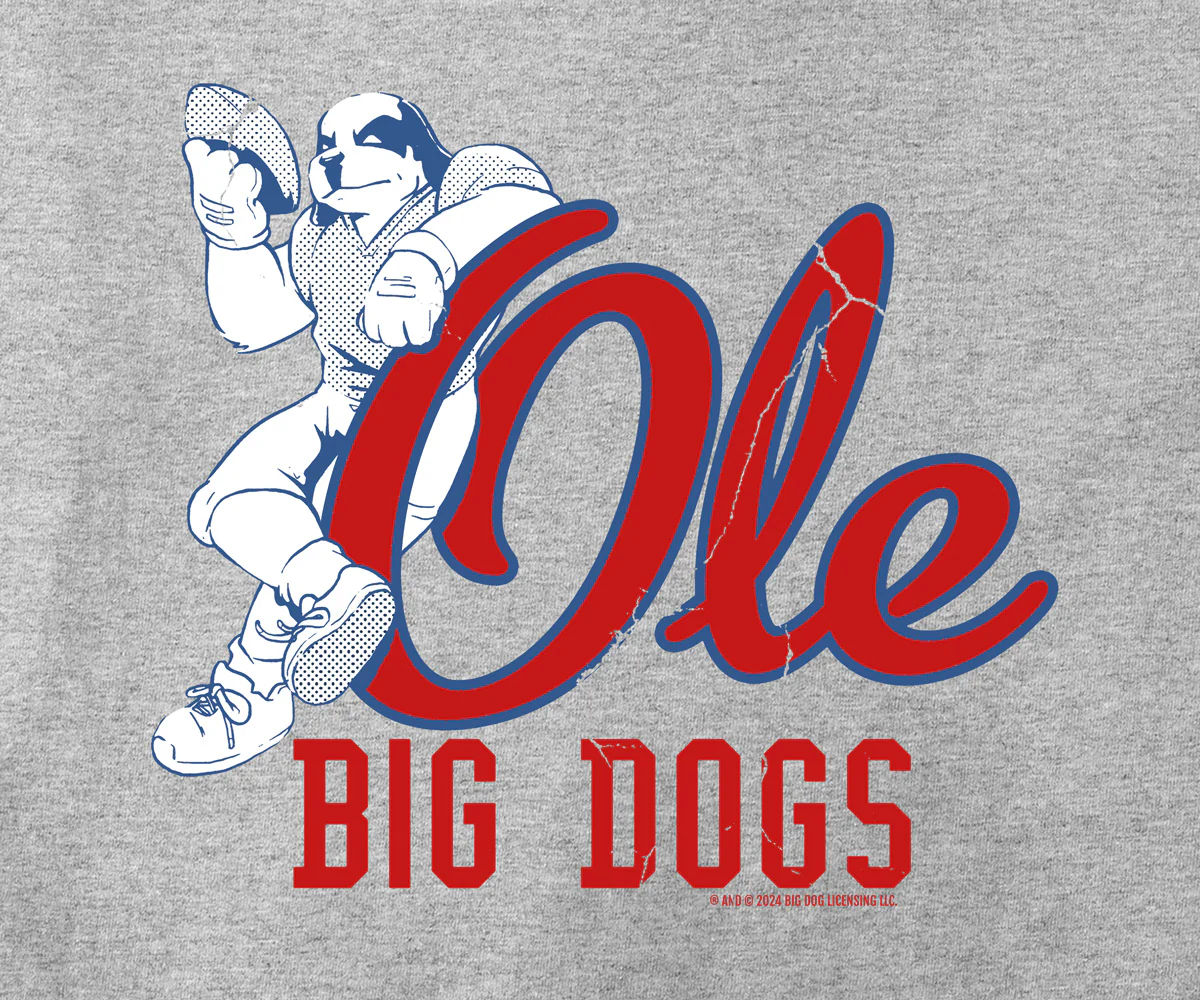 BDCF Mississippi T-shirt - Image 2