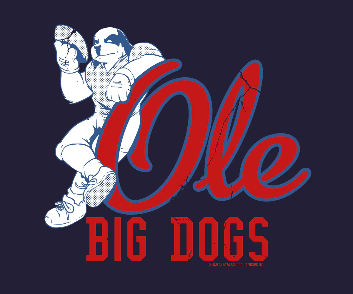 BDCF Mississippi T-shirt - Image 2