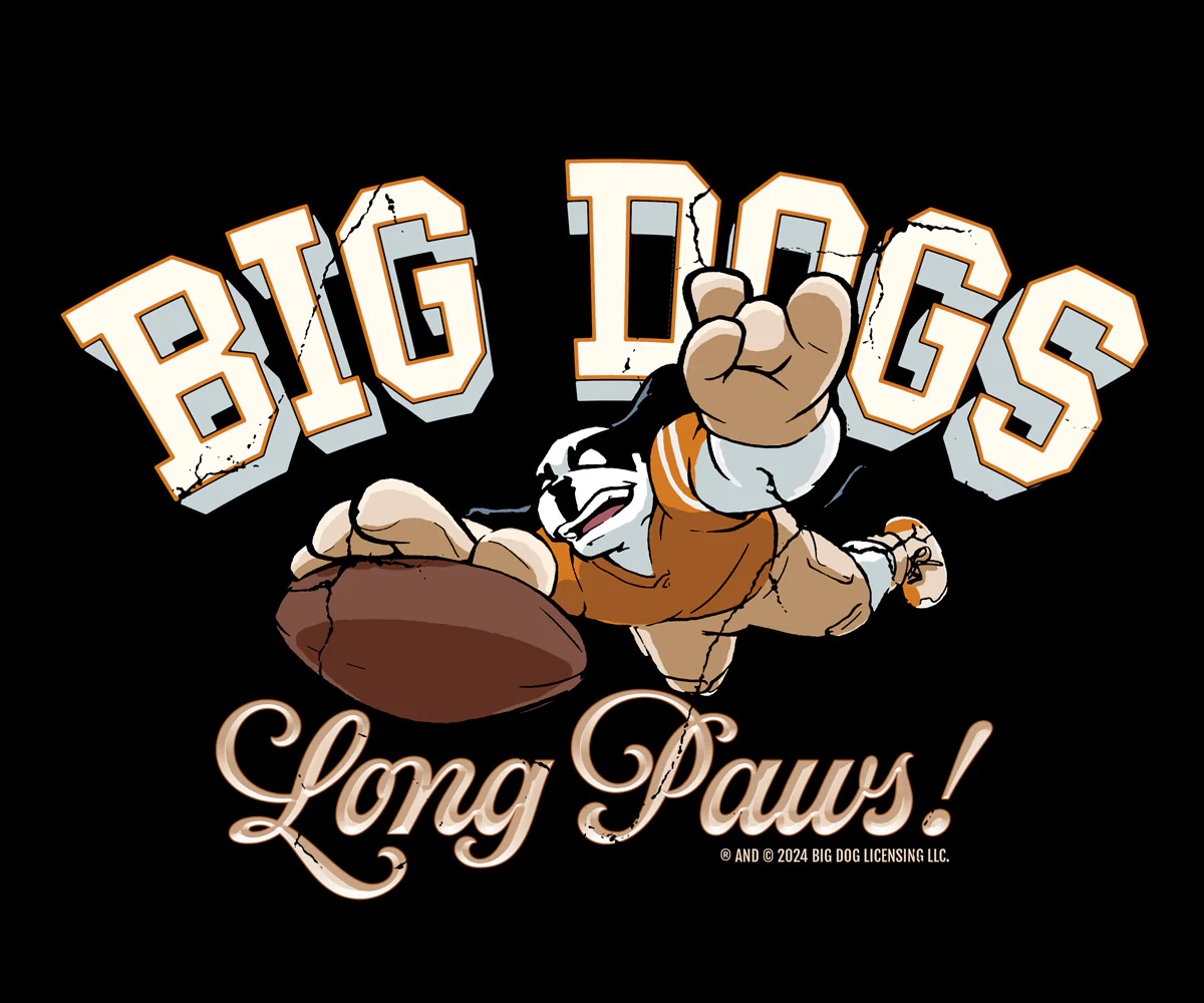 BDCF Texas T-shirt - Image 2