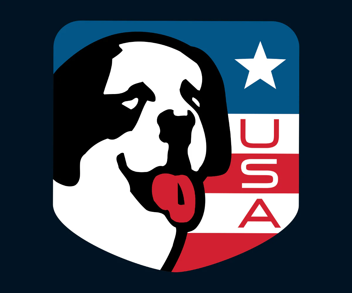 Big Dog USA Shield T-shirt - Image 2