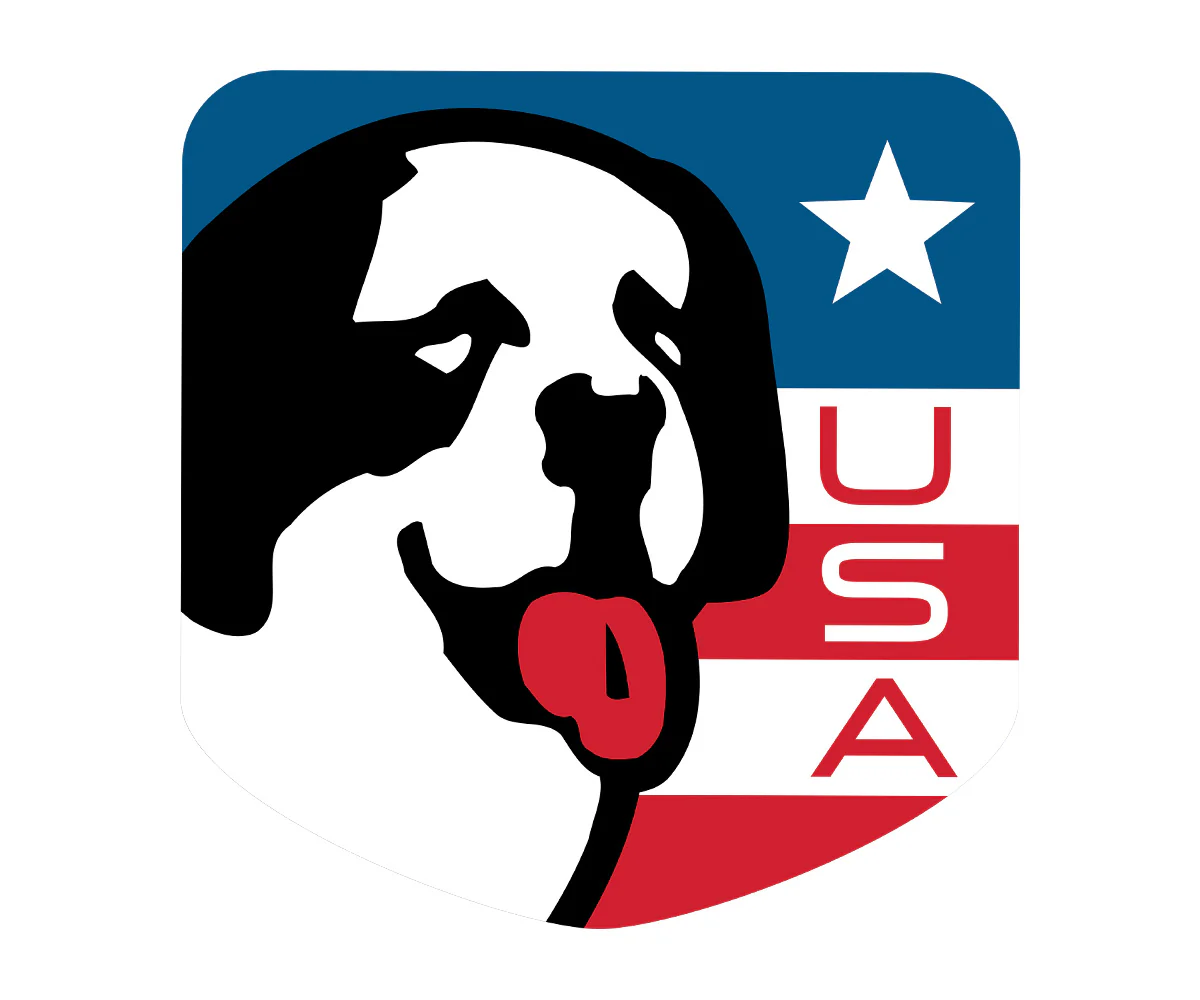 Big Dog USA Shield T-shirt - Image 2