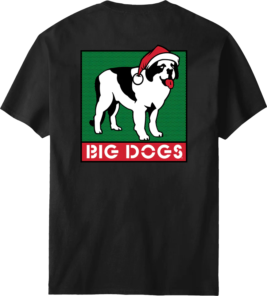 Box Logo Holiday T-shirt