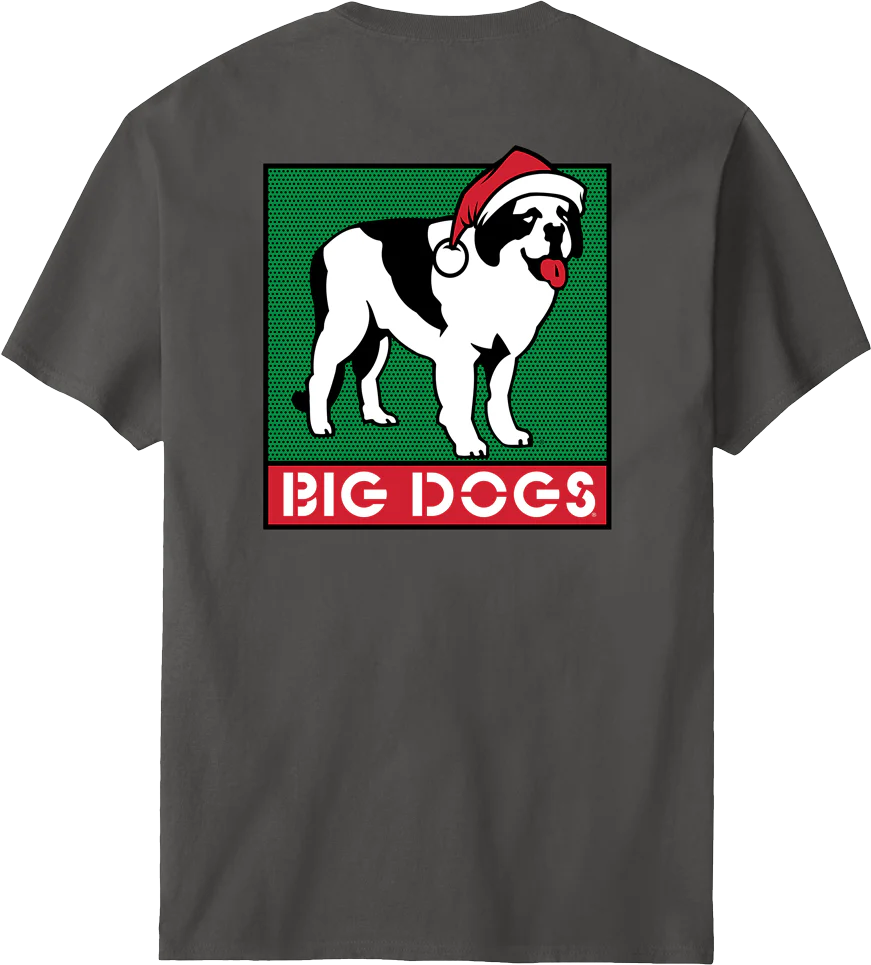 Box Logo Holiday T-shirt