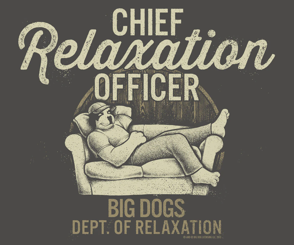 Chief Relaxation Officer T-Shirt - Image 2