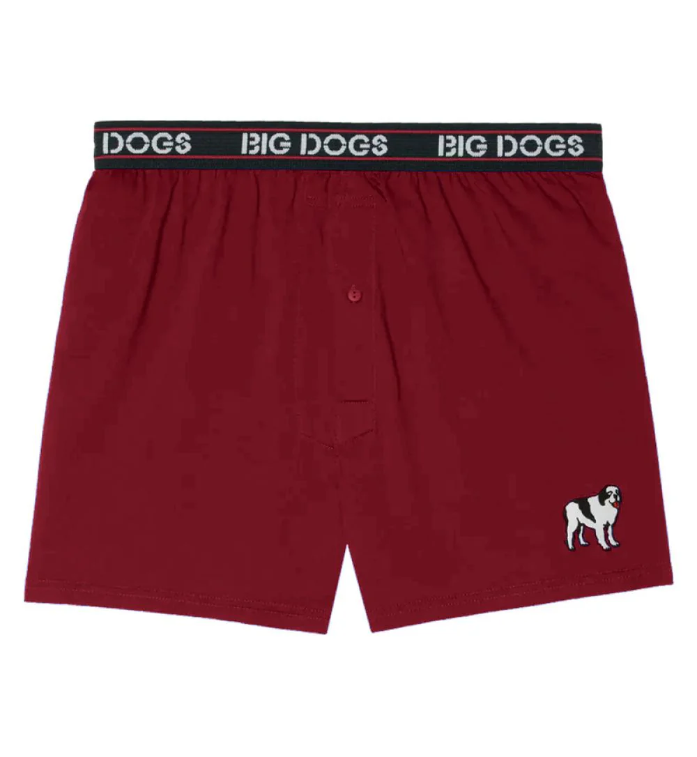 Classic Solid Logo Boxers