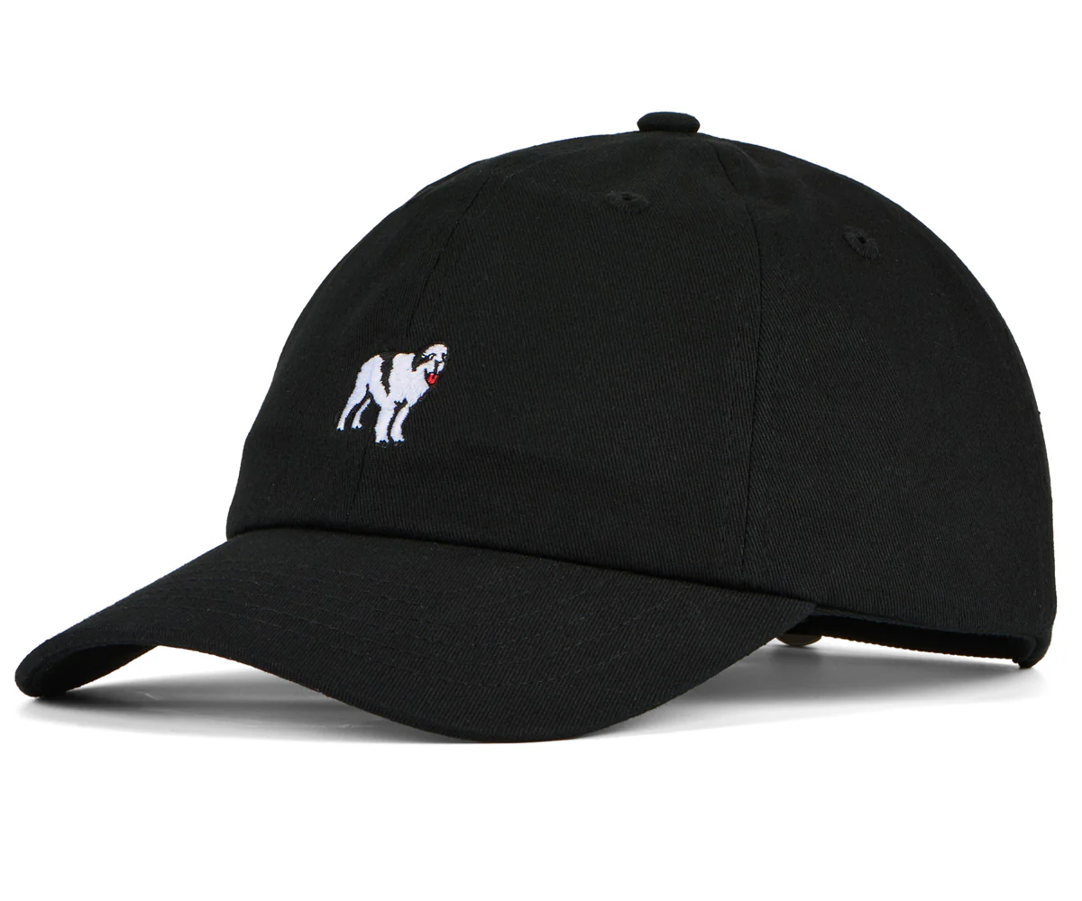 Dog Dad Icon Hat - Image 3