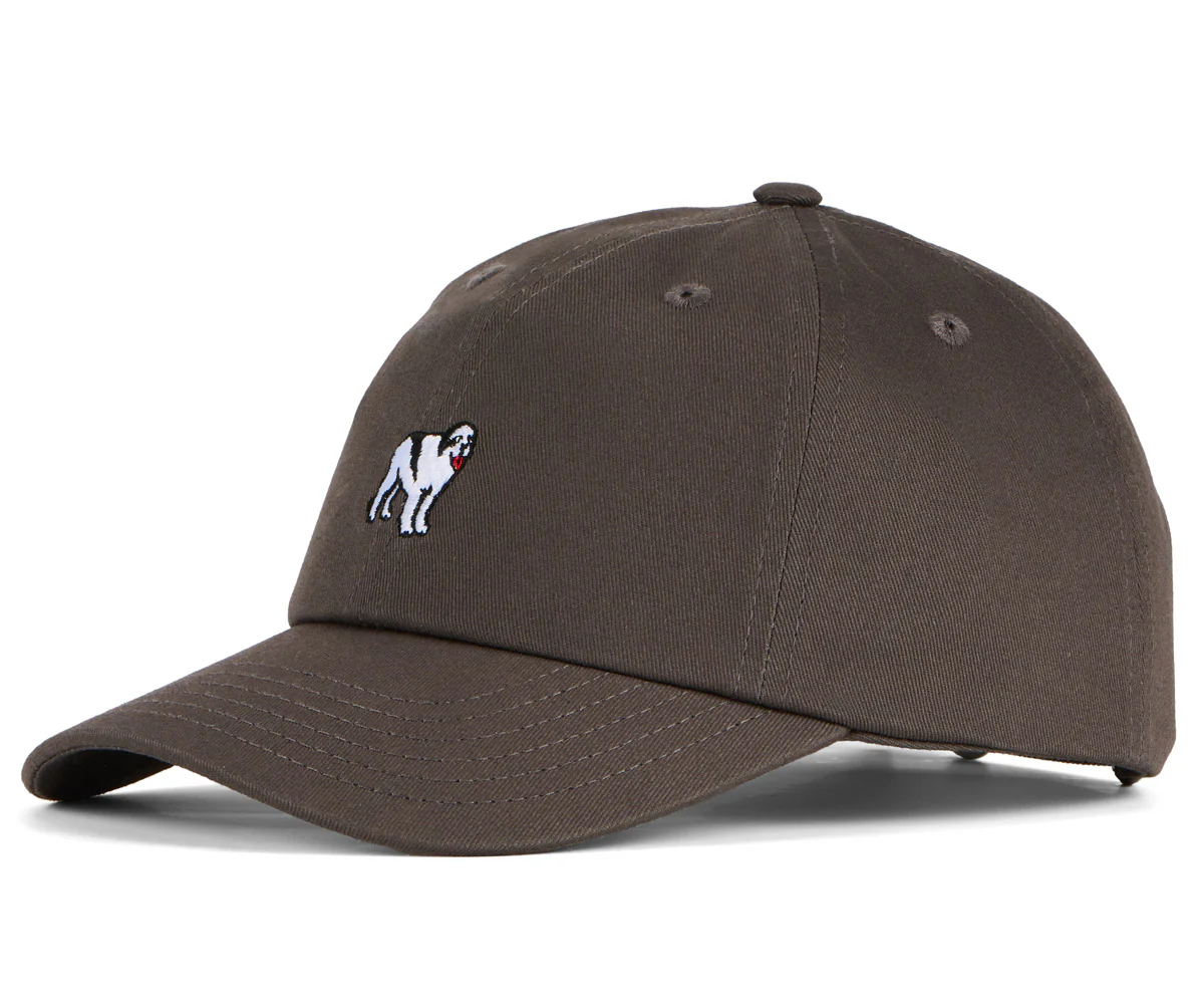 Dog Dad Icon Hat - Image 3