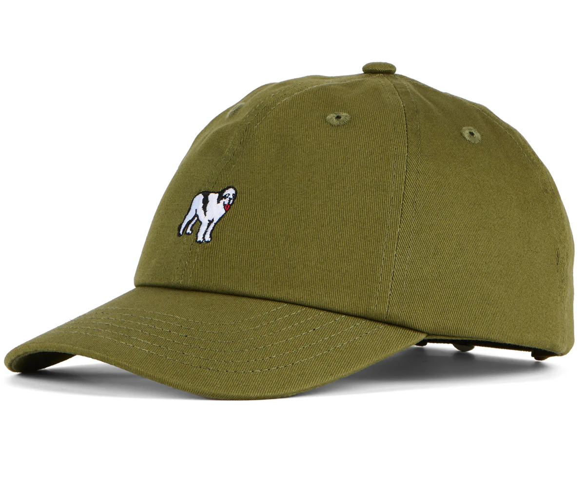 Dog Dad Icon Hat - Image 4