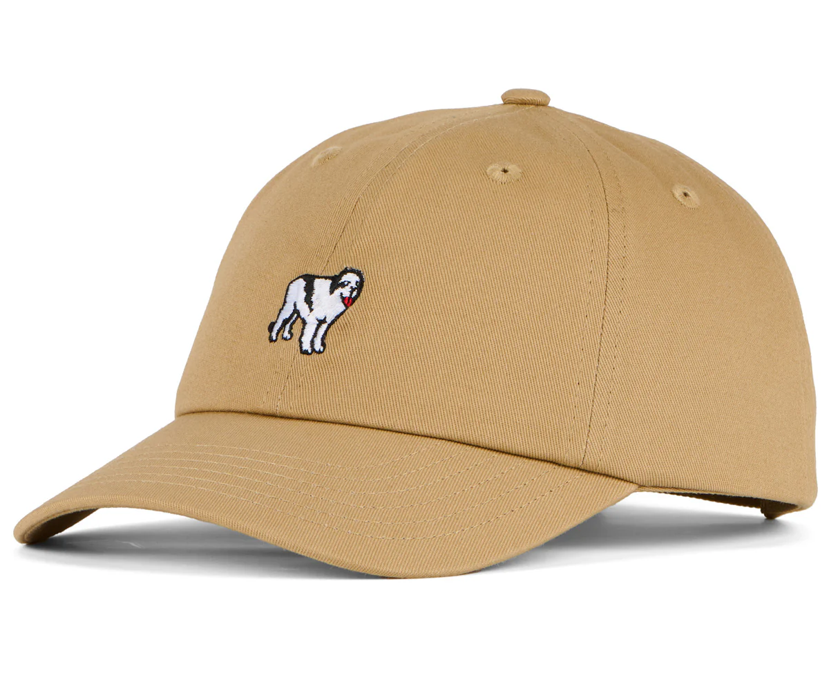 Dog Dad Icon Hat - Image 3