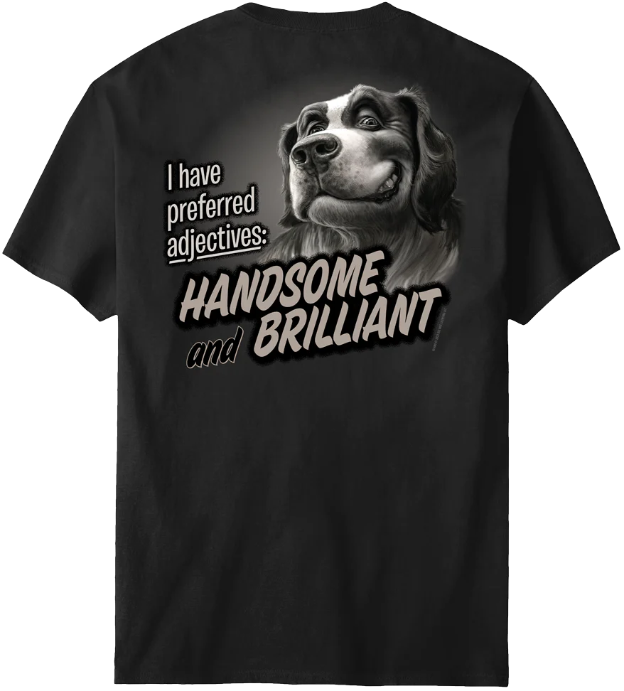 Handsome And Brilliant T-Shirt