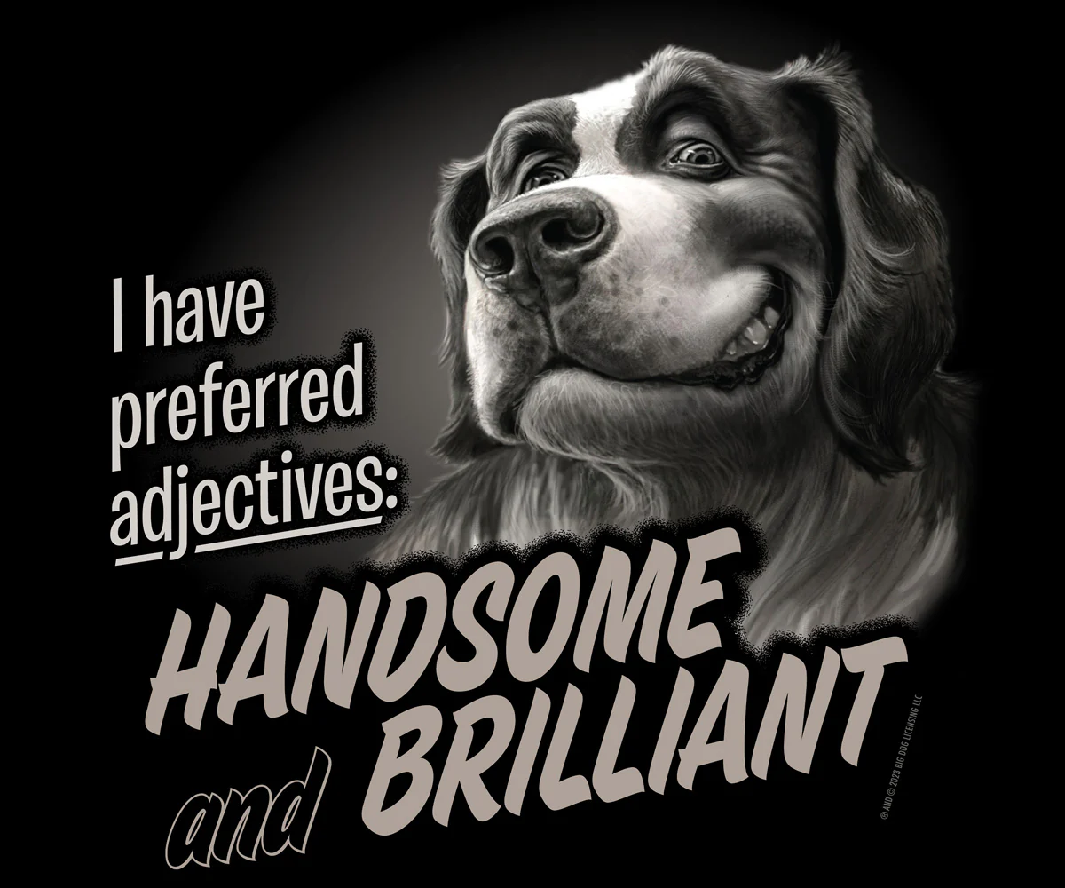 Handsome And Brilliant T-Shirt - Image 2