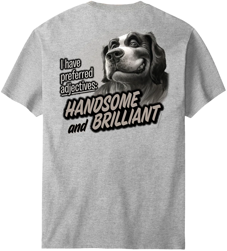 Handsome And Brilliant T-Shirt