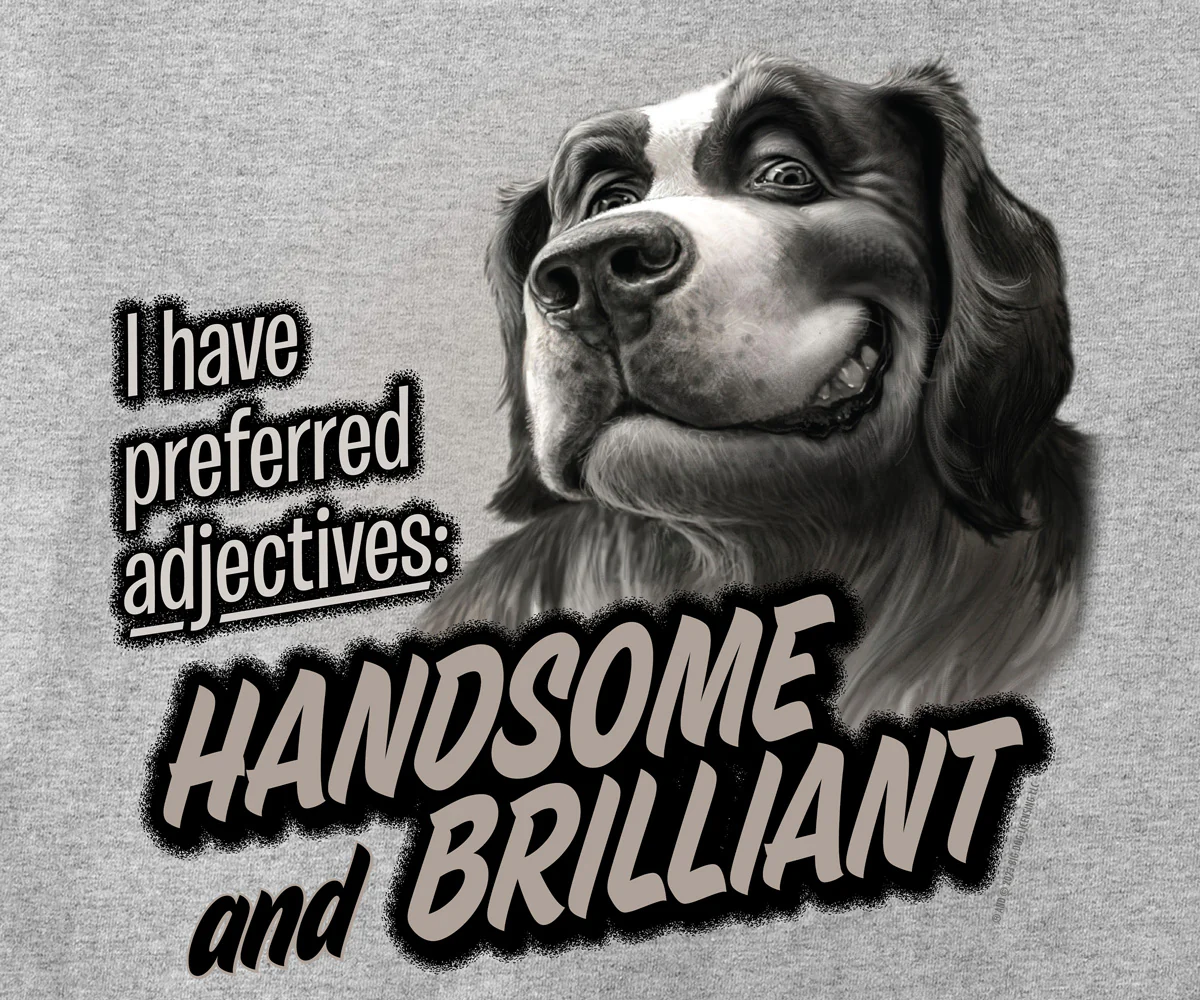 Handsome And Brilliant T-Shirt - Image 2