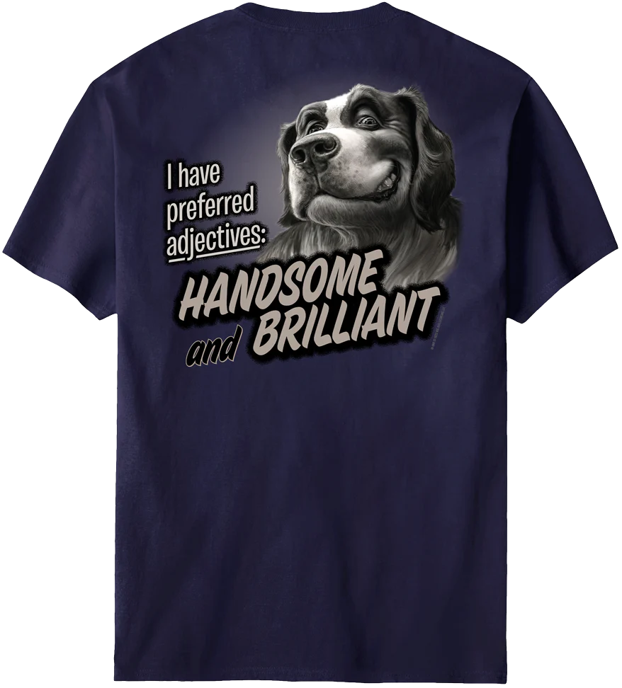 Handsome And Brilliant T-Shirt