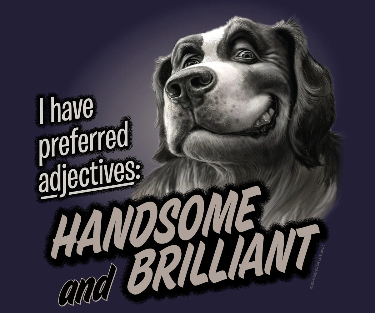 Handsome And Brilliant T-Shirt - Image 2