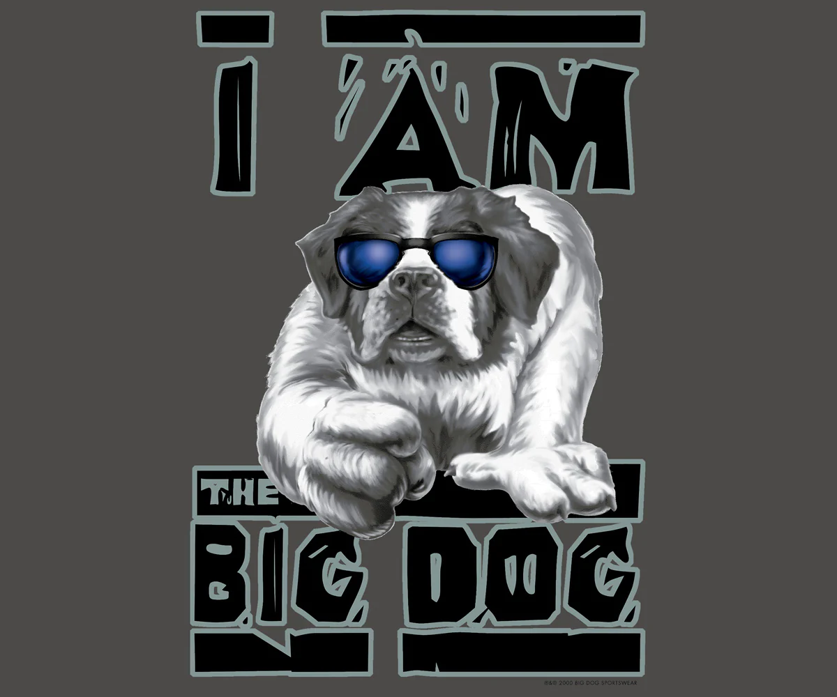 I Am The Bd T-Shirt - Image 2