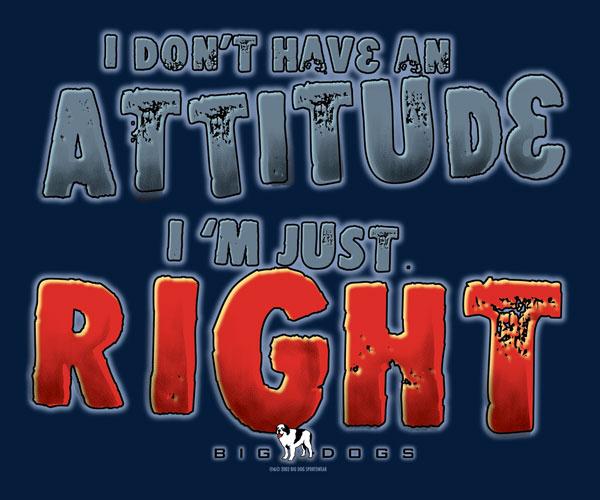 I Do Not Have An Attitude T-Shirt - Image 2