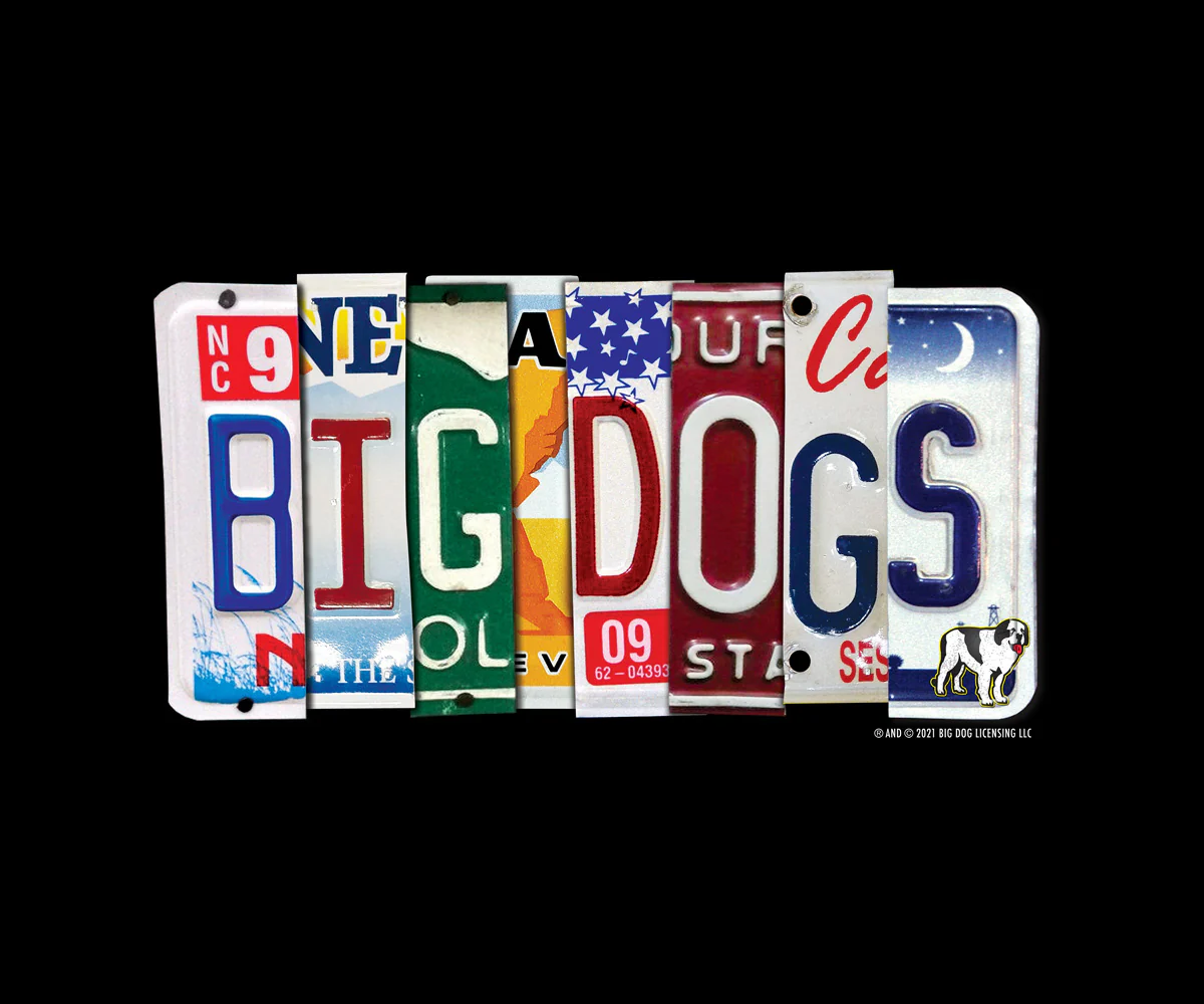 Bd License Plate T-Shirt - Image 2