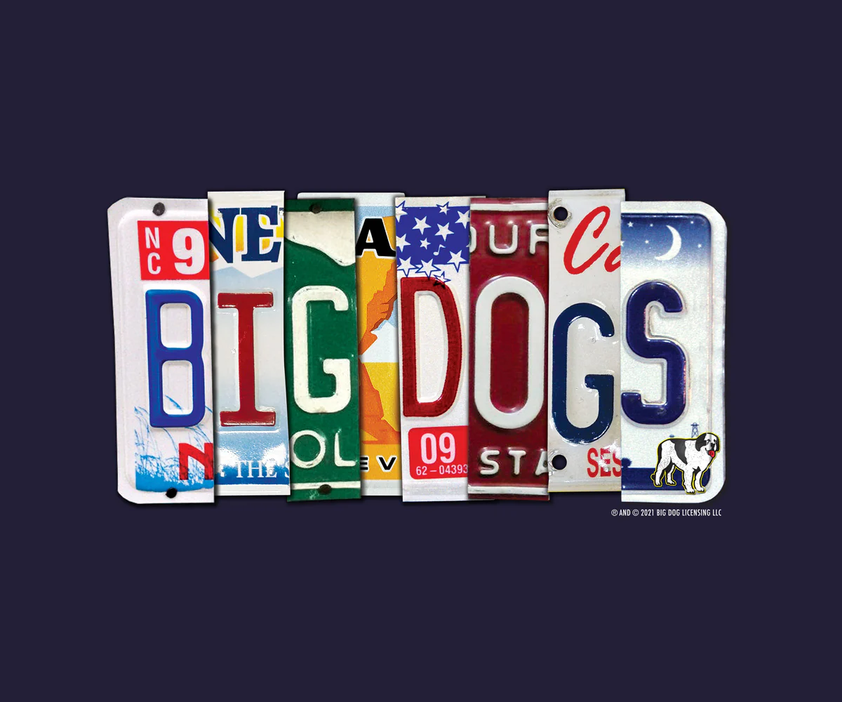 Bd License Plate T-Shirt - Image 2