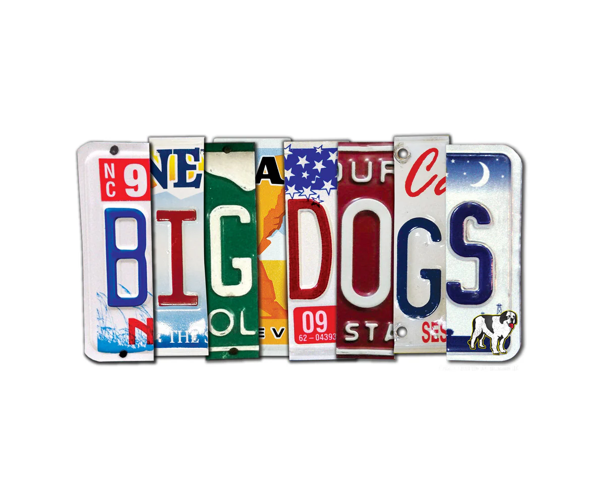 Bd License Plate T-Shirt - Image 2