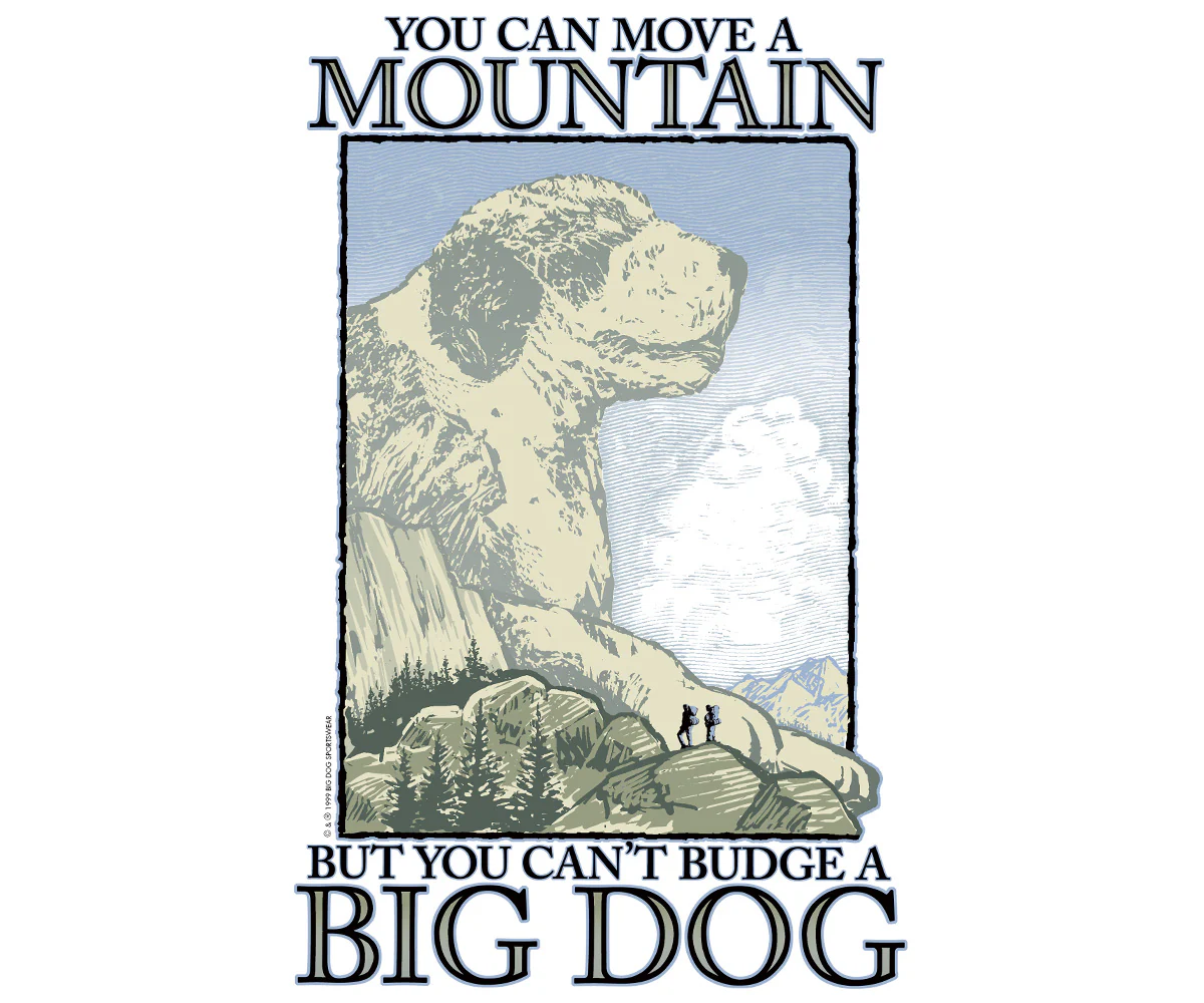 Move a Mountain Long Sleeve T-shirt - Image 2
