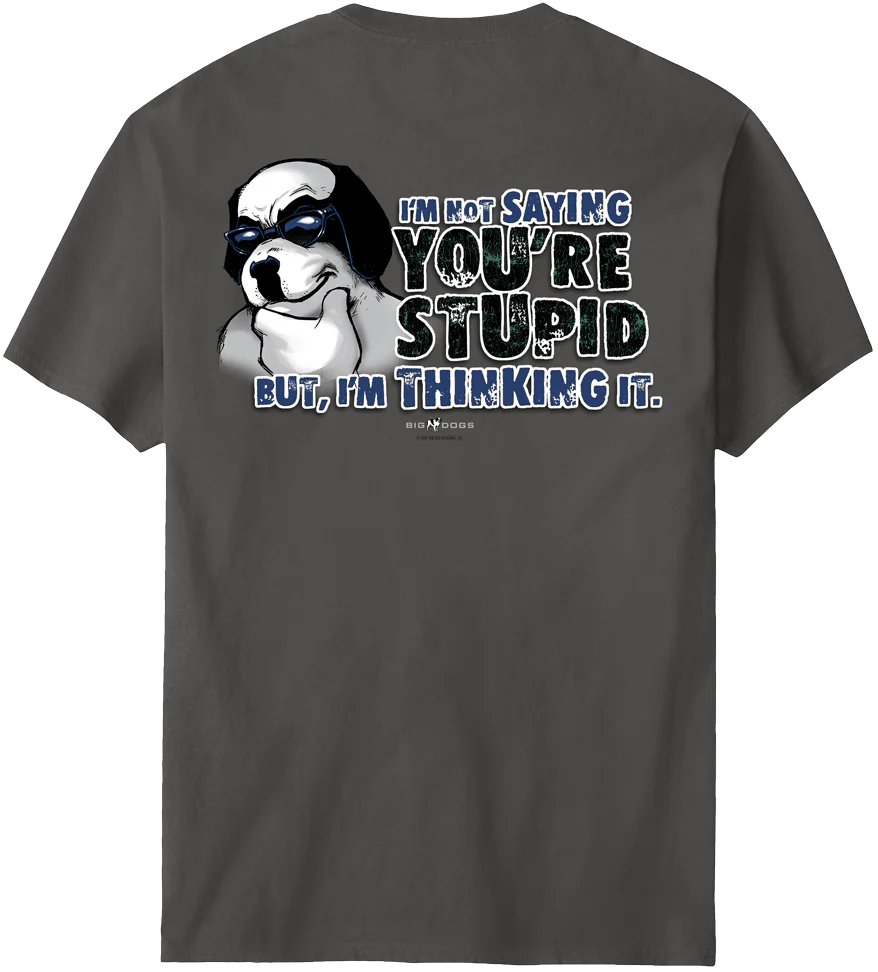 Not Saying You Are Stupid T-Shirt