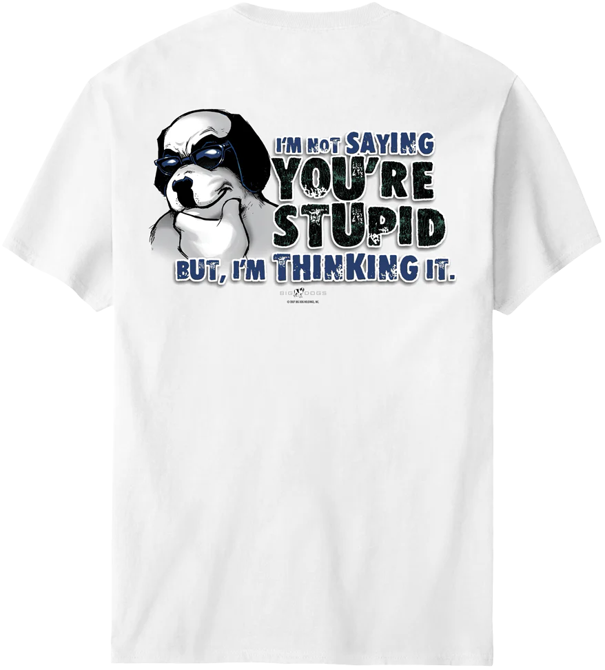 Not Saying You Are Stupid T-Shirt