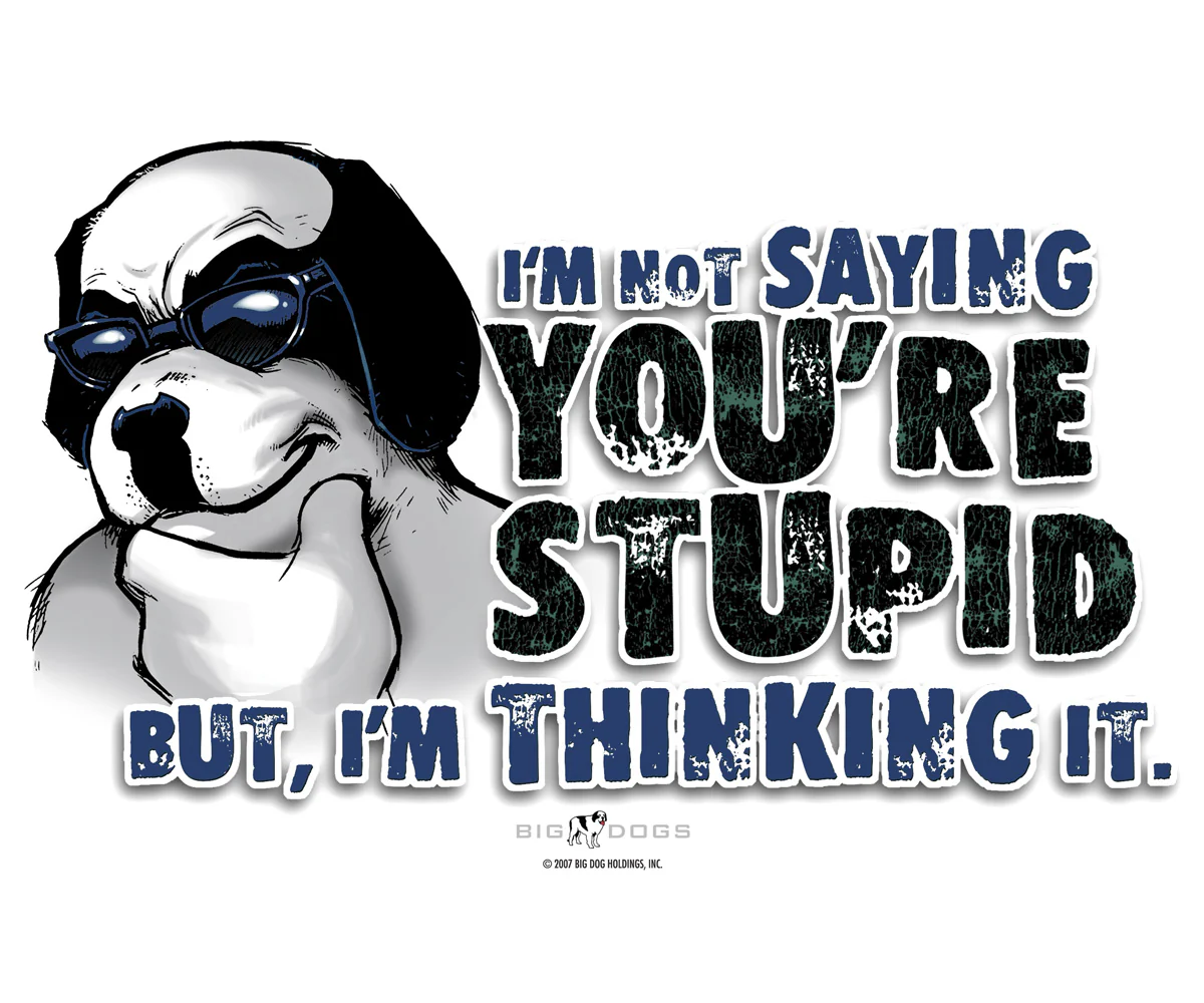Not Saying You Are Stupid T-Shirt - Image 2
