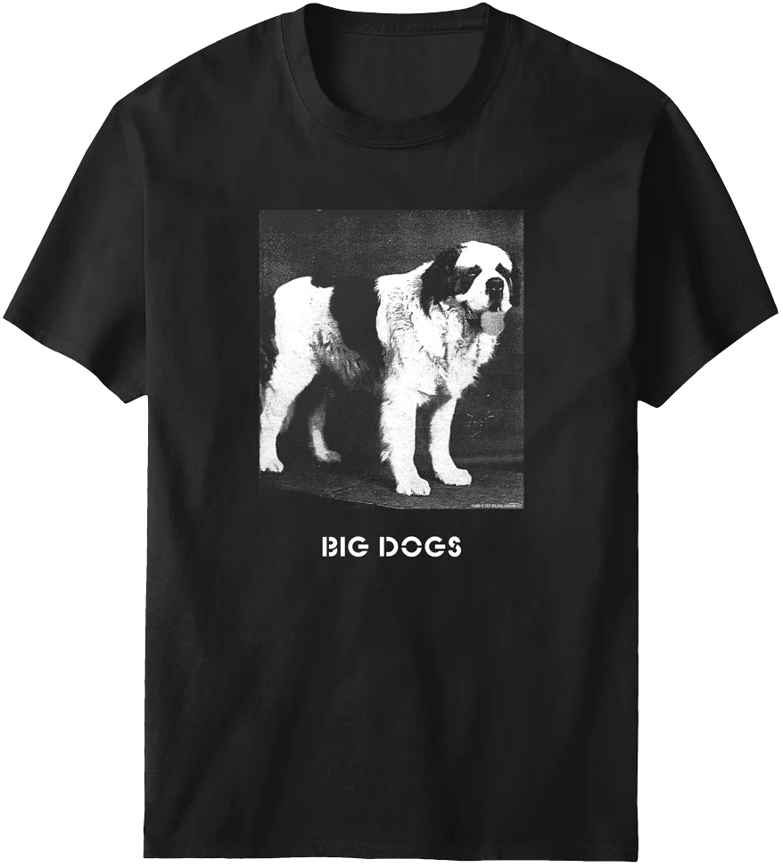 Photo Logo T-Shirt