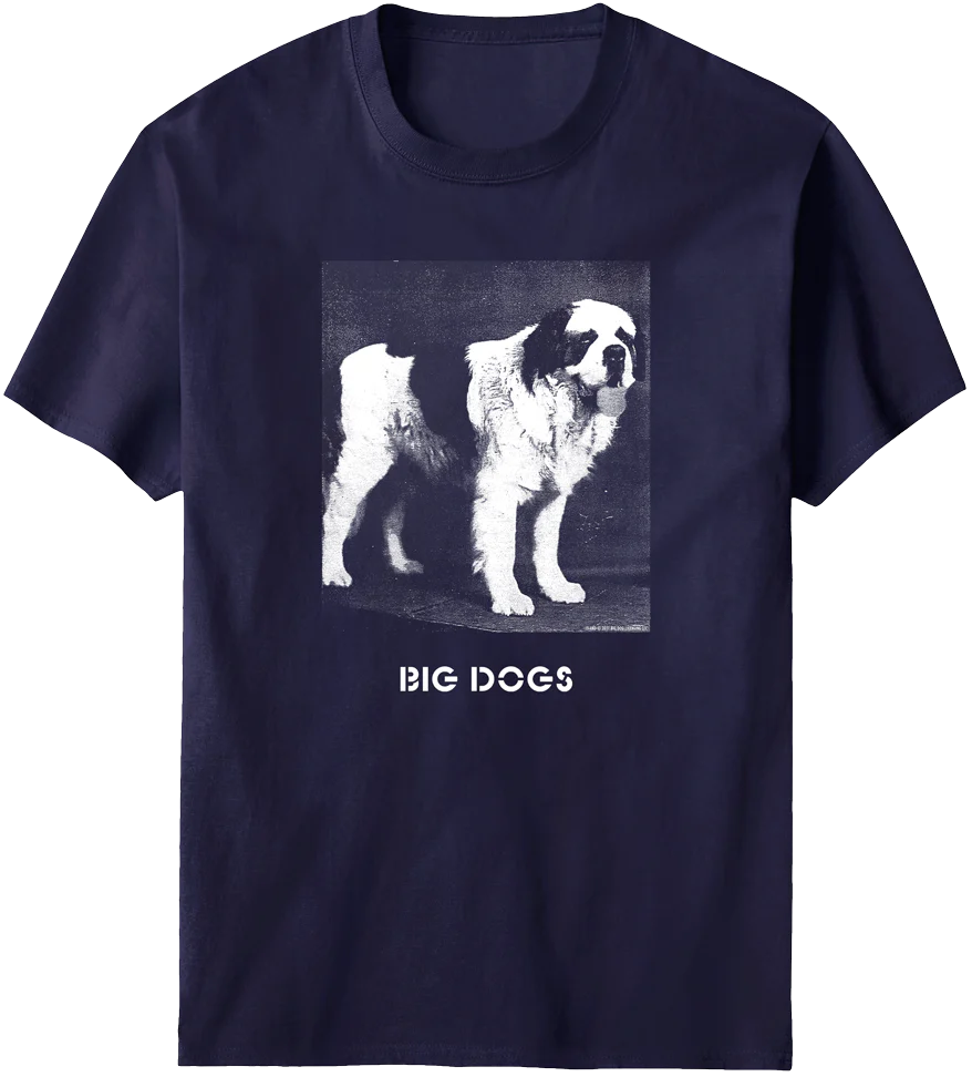 Photo Logo T-Shirt
