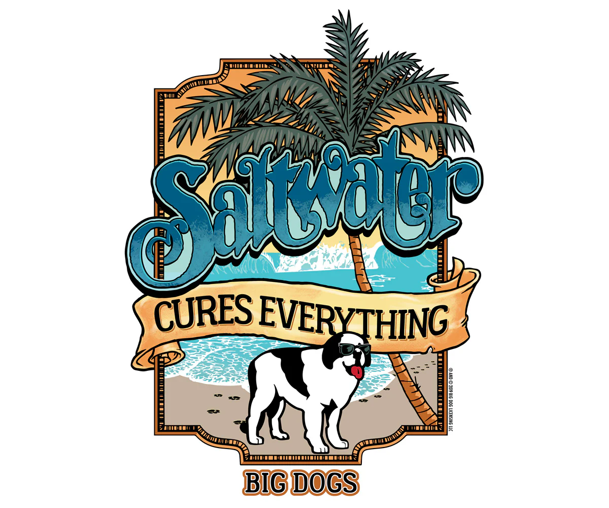 Saltwater T-Shirt - Image 2