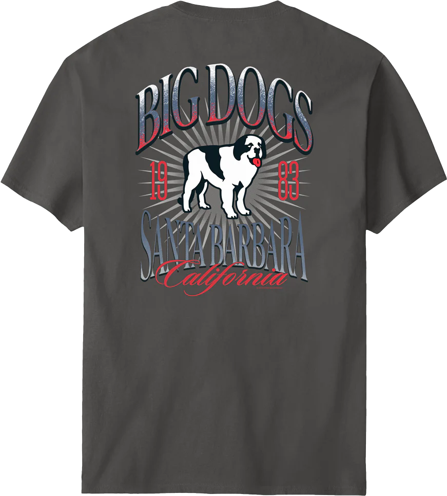 Santa Barbara Logo T-shirt