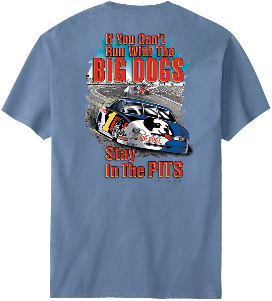 Stay In The Pits Stock Car T-Shirt