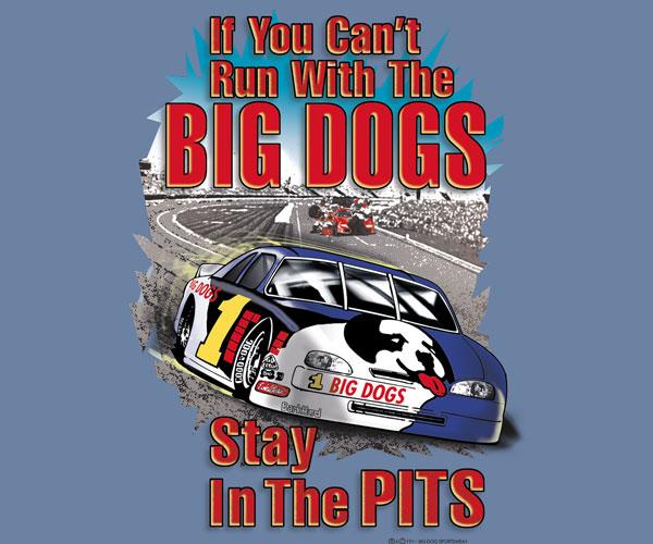 Stay In The Pits Stock Car T-Shirt - Image 2
