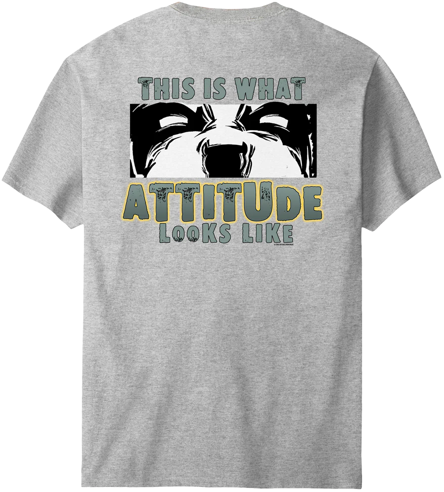 This Is What Attitude Looks Like T-Shirt