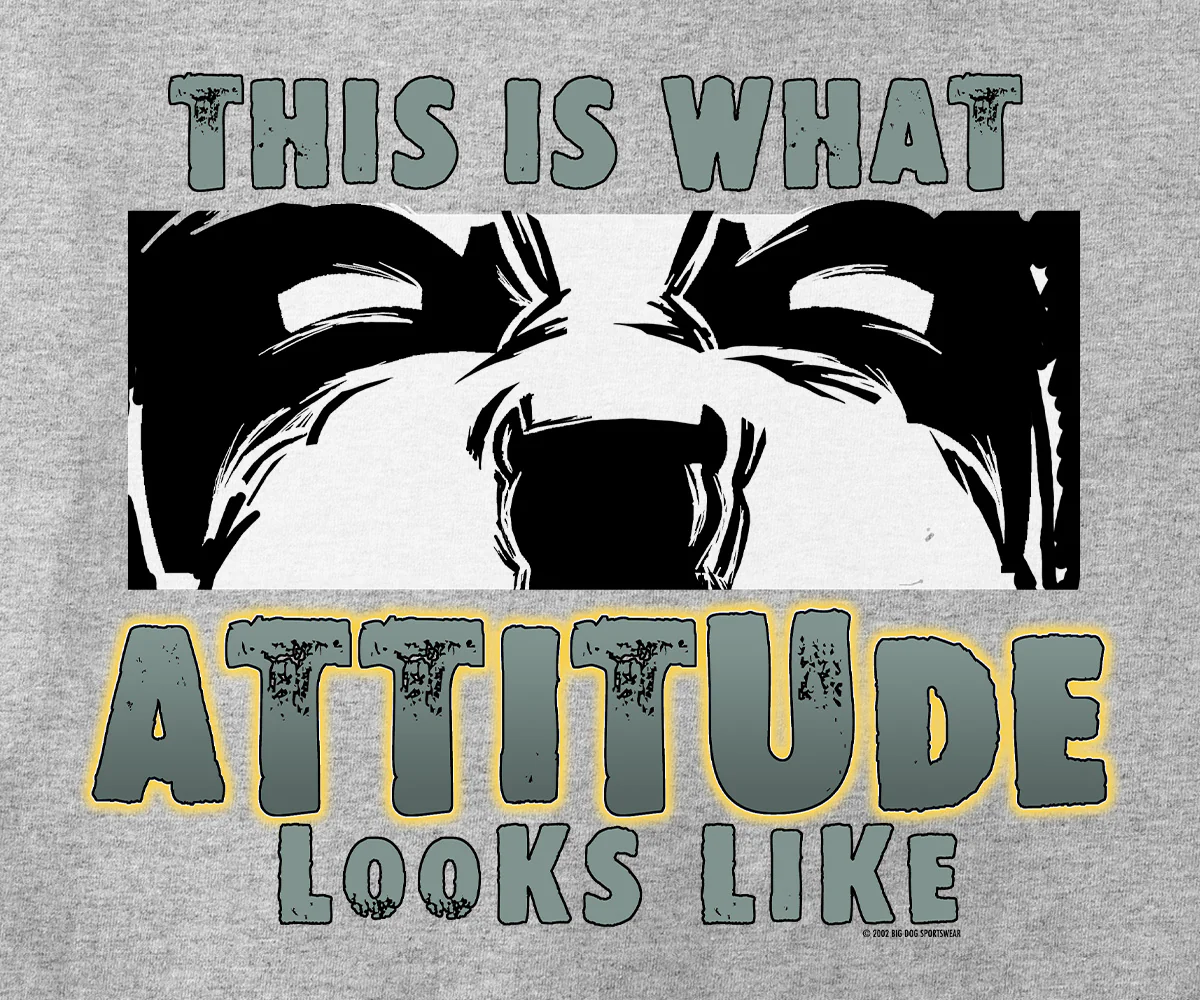 This Is What Attitude Looks Like T-Shirt - Image 2