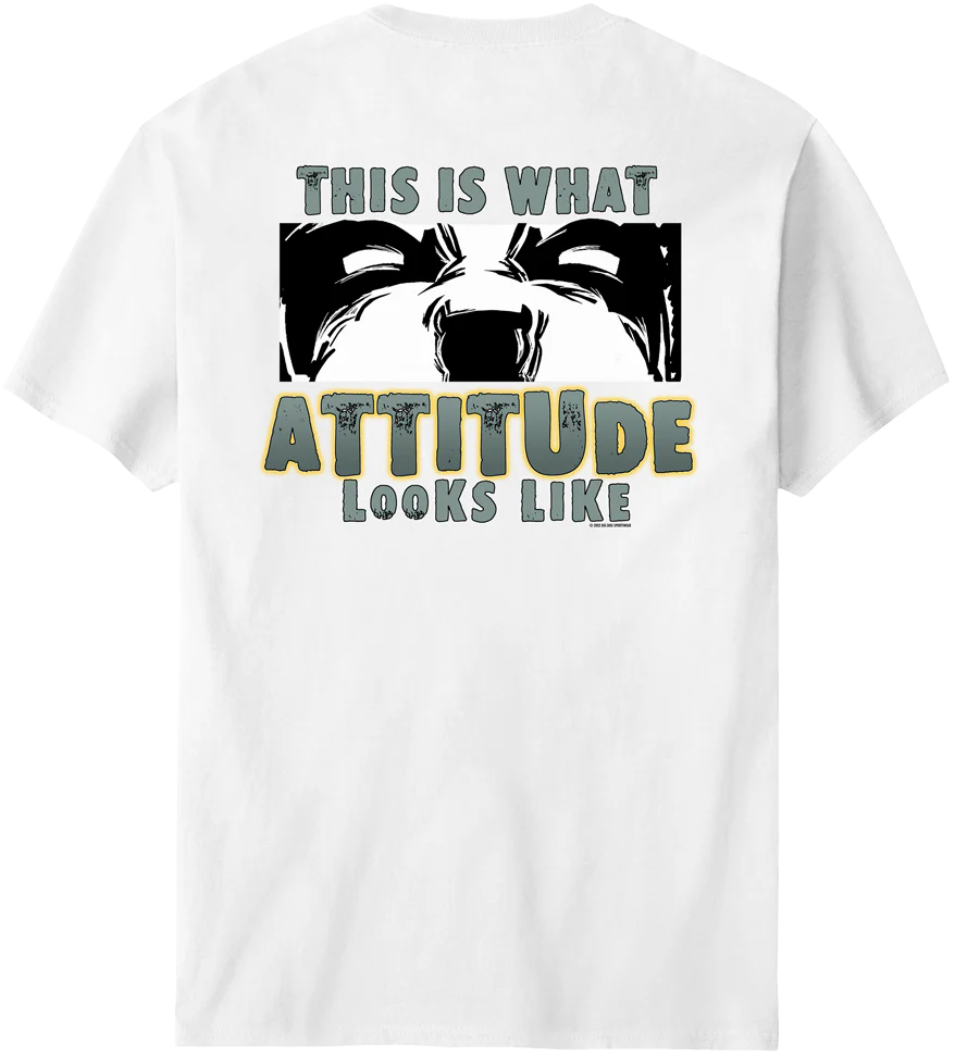 This Is What Attitude Looks Like T-Shirt