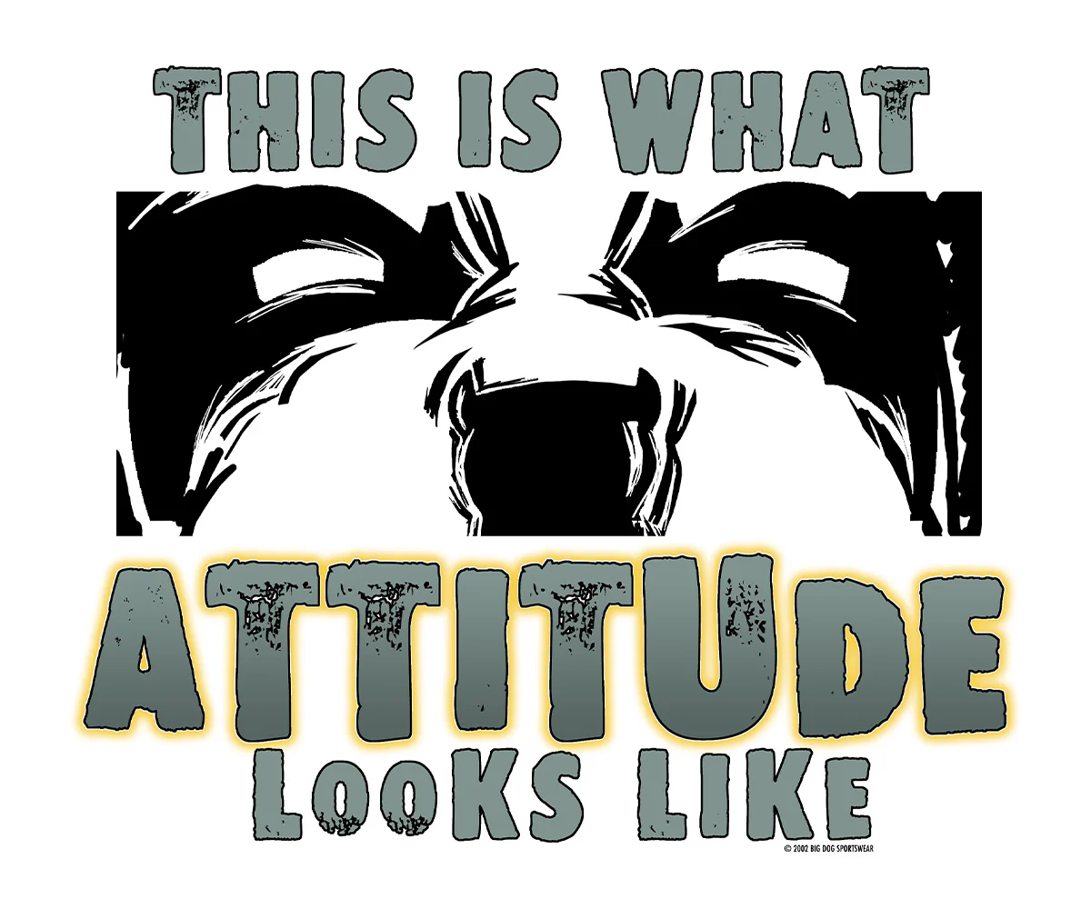 This Is What Attitude Looks Like T-Shirt - Image 2
