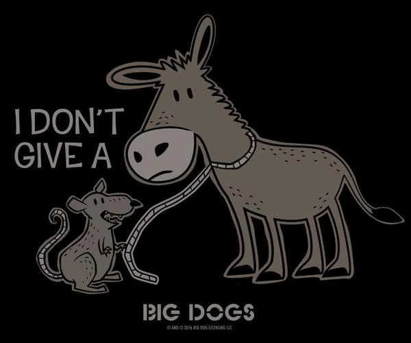 I Do Not Give A Rats T-Shirt - Image 2