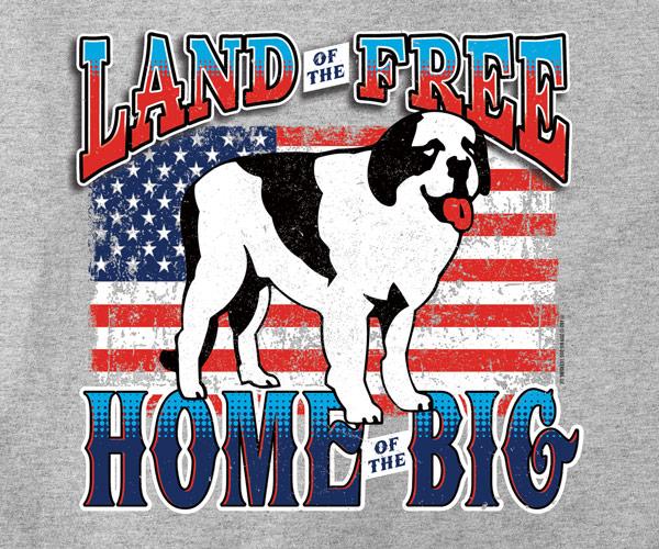 Land of the Big T-Shirt - Image 2
