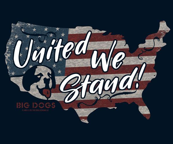 United We Stand T-Shirt - Image 2