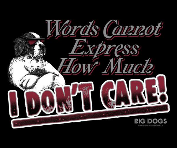 Words Can Not Express T-Shirt - Image 2